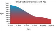 testosterone decline over age